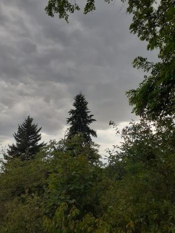 Bez levice v šlamastyce…
