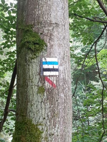 Jak nám vláda zachránila opozici…