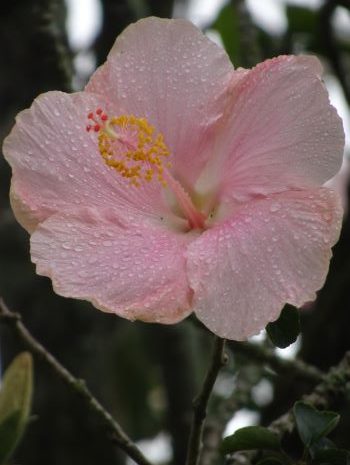 Buďme těmi majáky my…