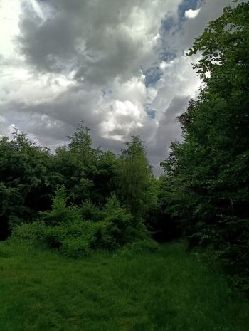 Hradní lapálie